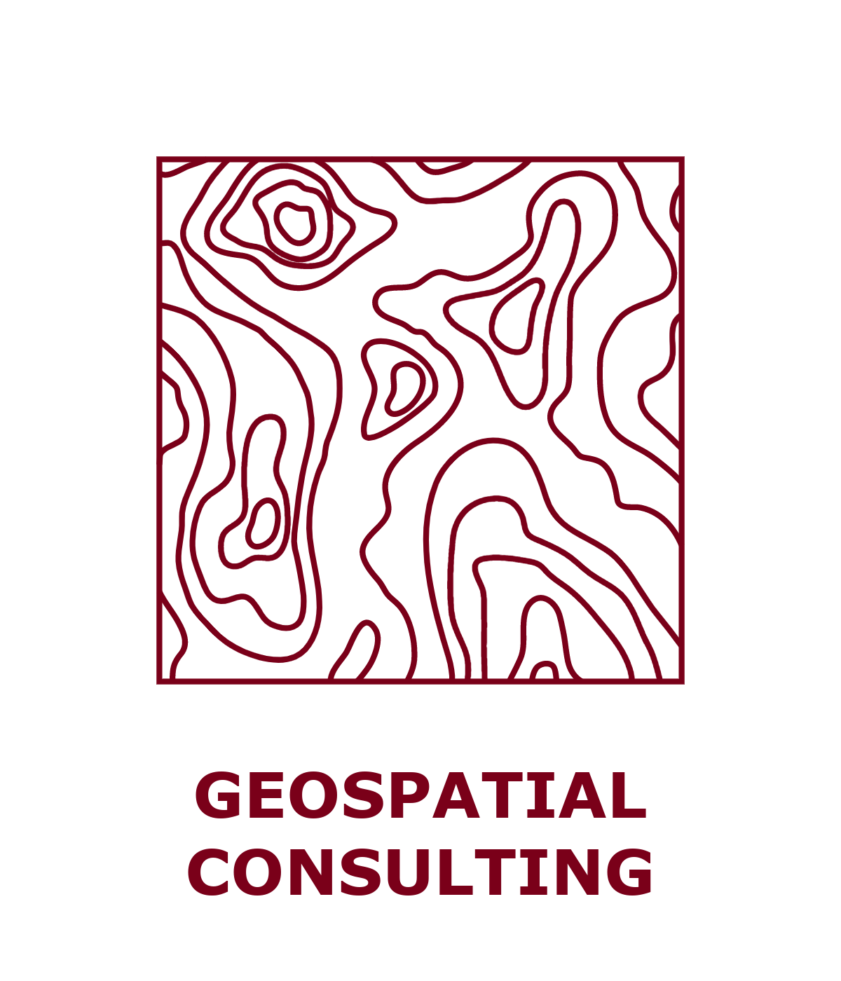 Geospatial Consulting