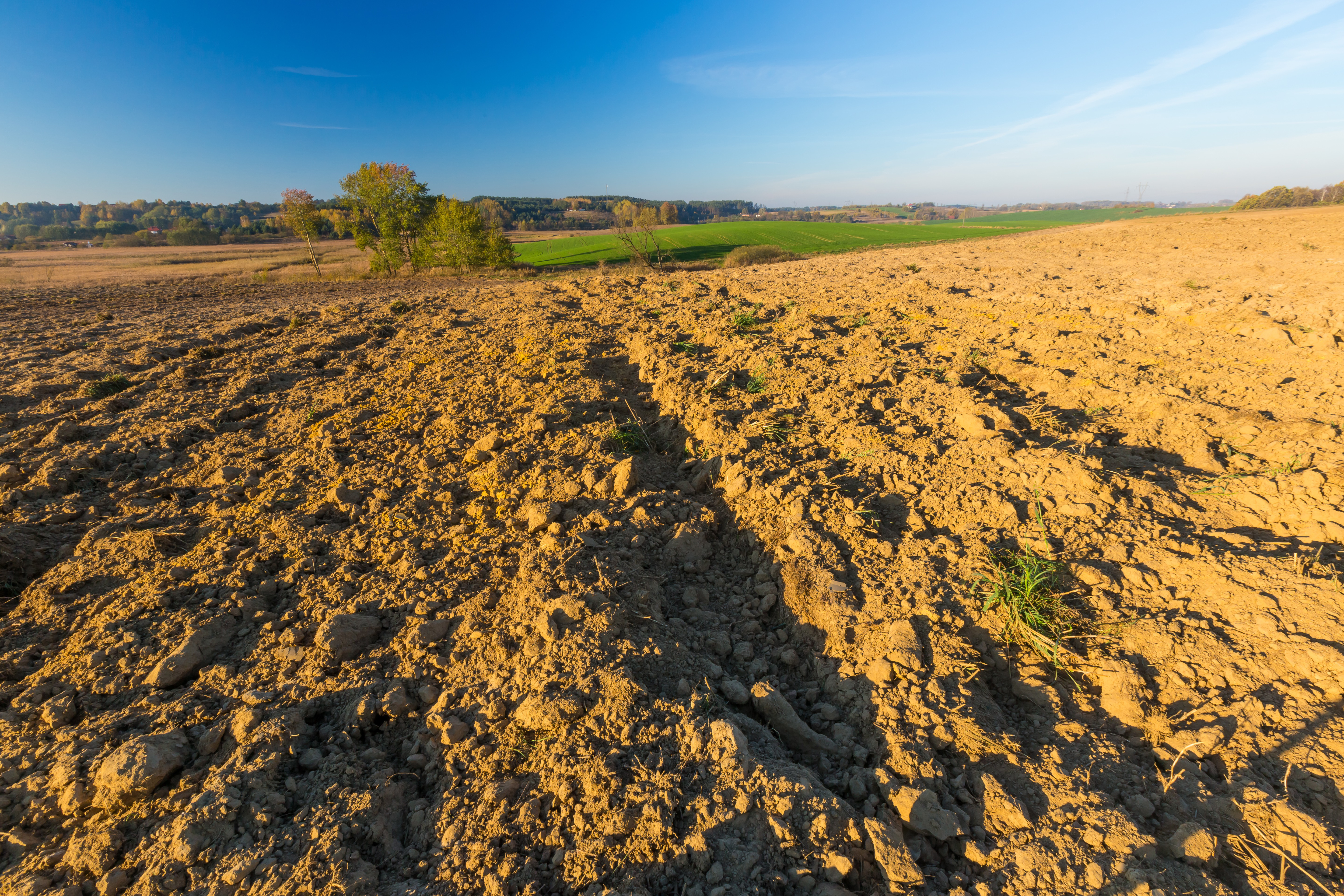 photo showing plowed field