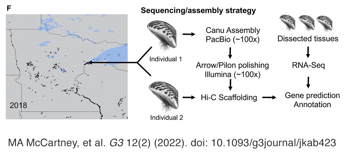 map of specimen location; schematic of sequencing and annotation strategy