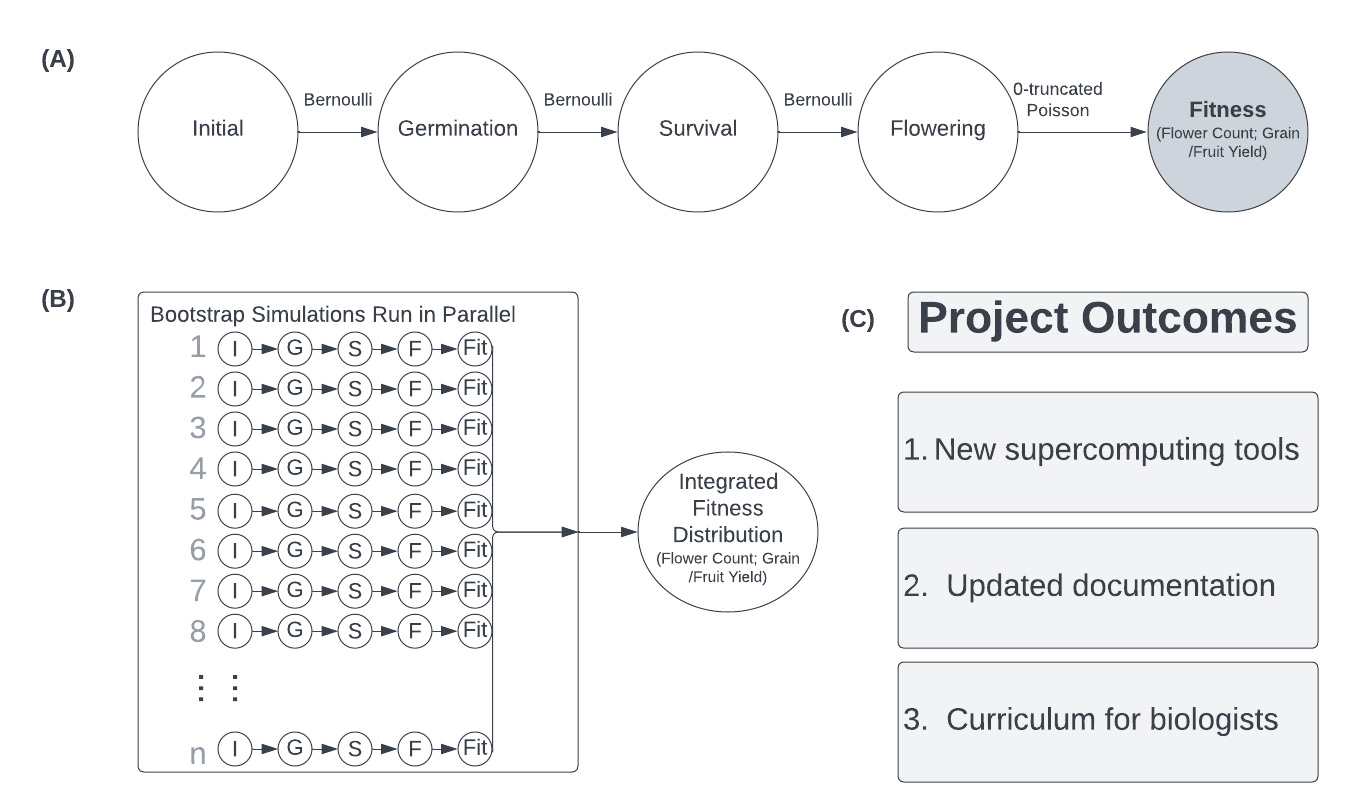graphical depiction of steps of model development