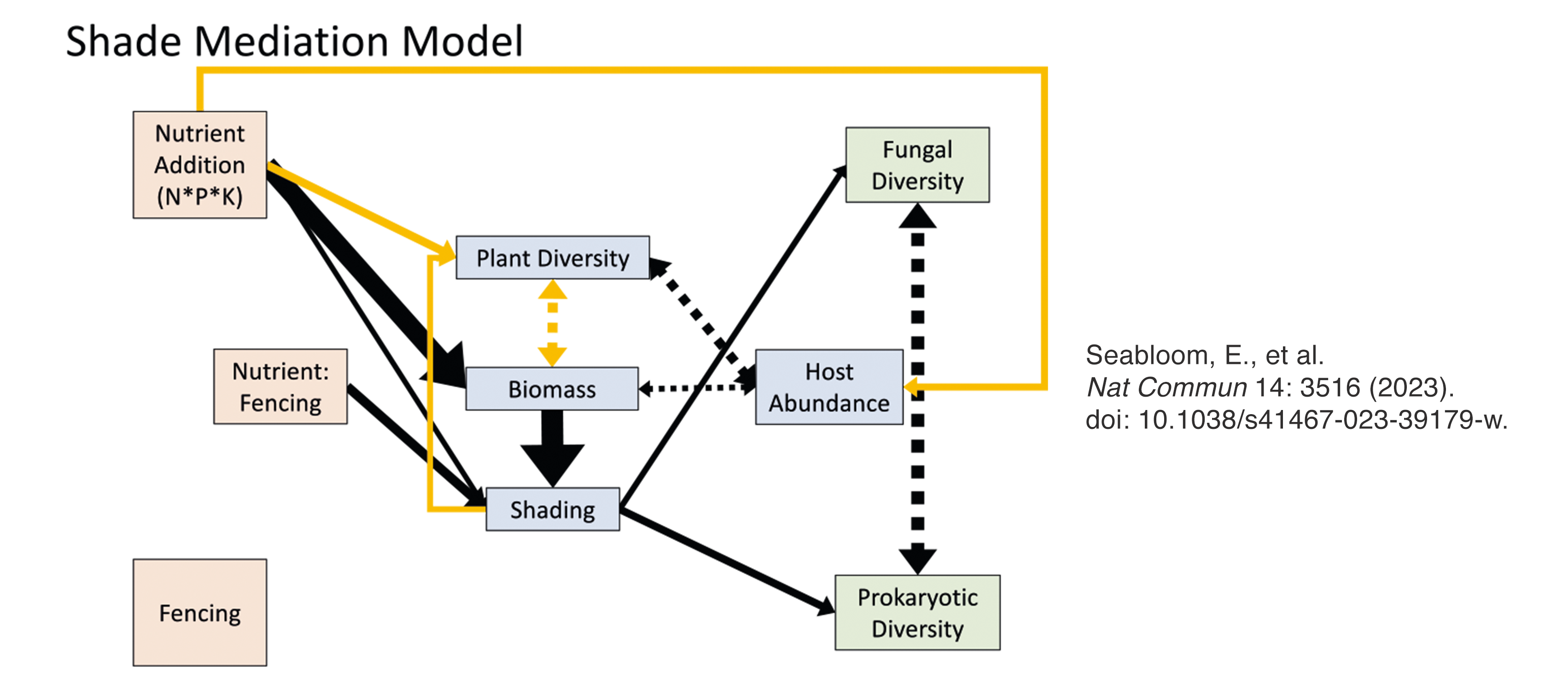 Flowchart illustrating that nutrient and fencing effects on leaf-scale endophyte diversity are mediated by biomass effects on shade