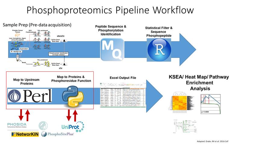 schematic of phosphoproteomics pipeline workflow
