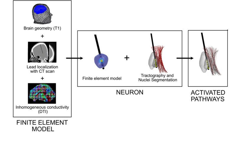 schematic of neuron modeling