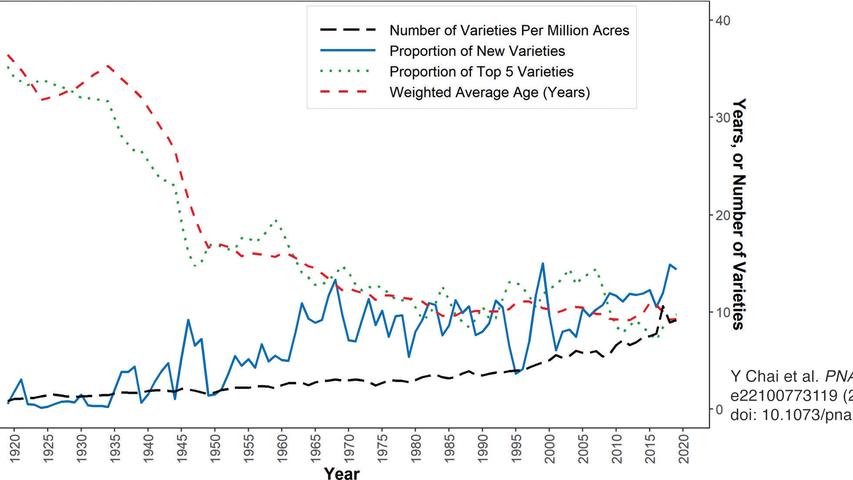 graph showing phylogenetically blind measures of U.S. wheat diversity, 1919 to 2019
