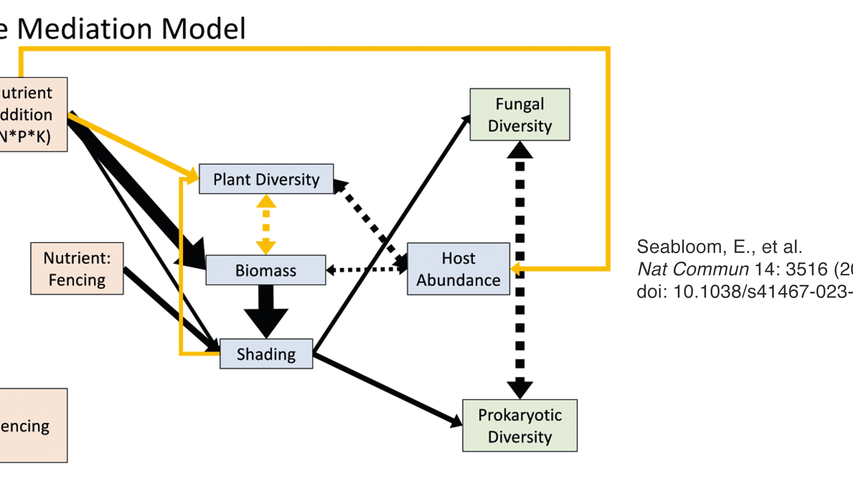 Flowchart illustrating that nutrient and fencing effects on leaf-scale endophyte diversity are mediated by biomass effects on shade