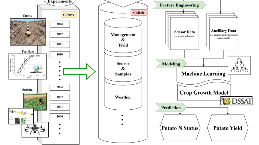 graphical abstract of potato database development